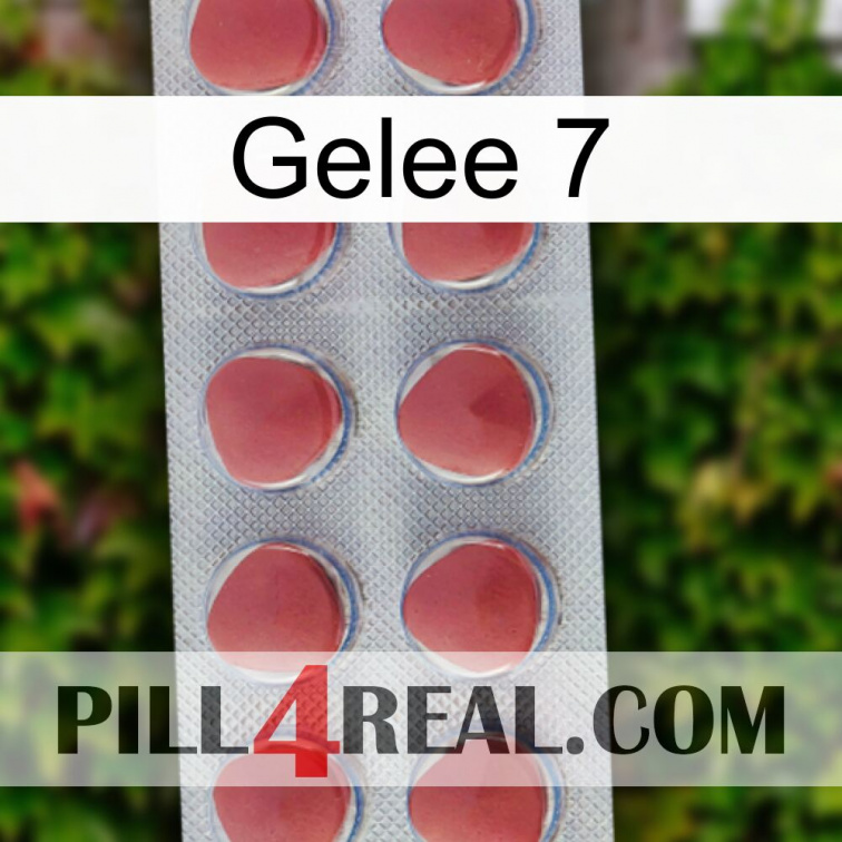 Jelly 7 18